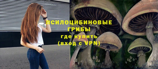 гидропоника Абинск
