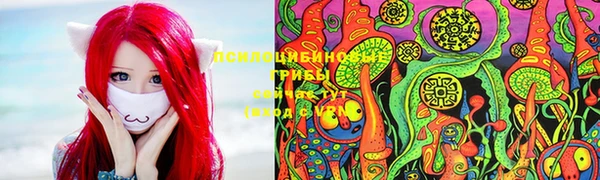 гидропоника Абинск
