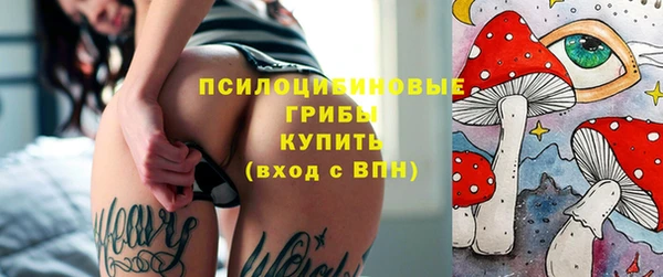 не бодяженный Абаза