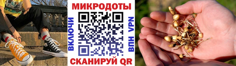 Галлюциногенные грибы ЛСД  где продают наркотики  Щёлково 
